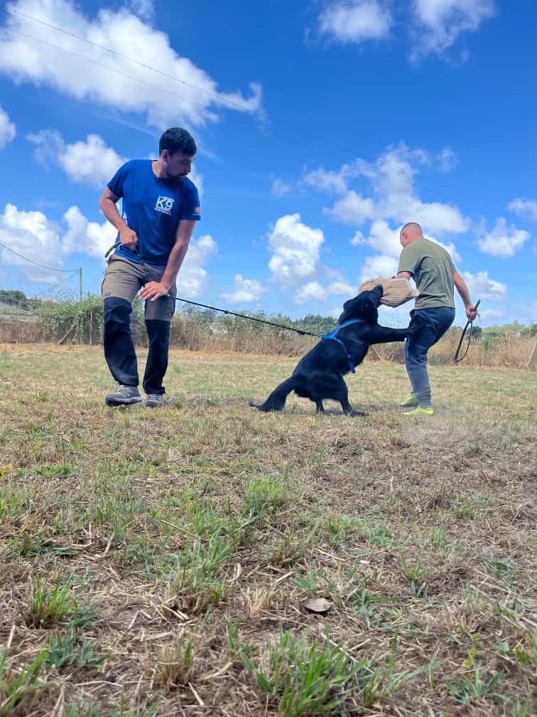 Treino de Protecção Desportiva